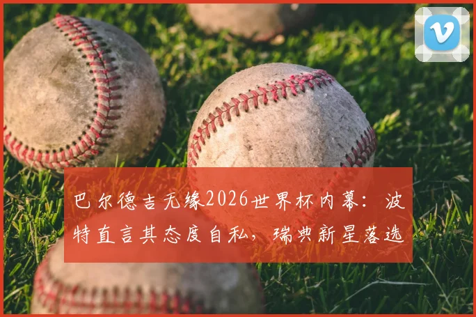 巴尔德吉无缘2026世界杯内幕:波特直言其态度自私,瑞典新星落选国家队真实原因剖析